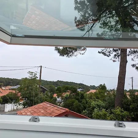 With Swimming Pool Near Ocean And Forest
