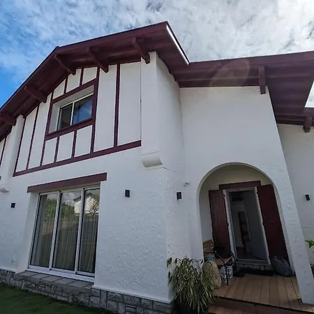 With Swimming Pool Near Ocean And Forest Villa *