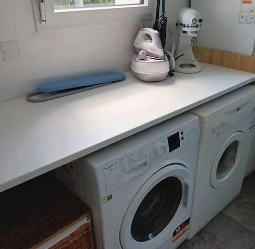 With Swimming Pool Near Ocean And Forest *